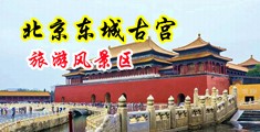 亚州淫自拍中国北京-东城古宫旅游风景区